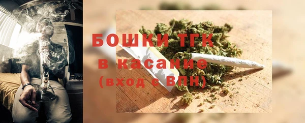 молекула духа Верхний Тагил